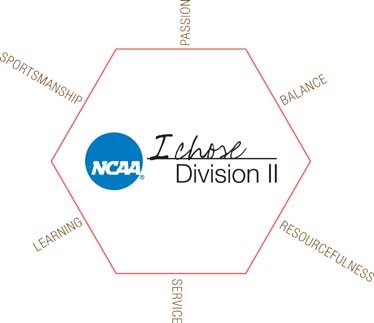 Funds provided for division-specific Academic All-America teams